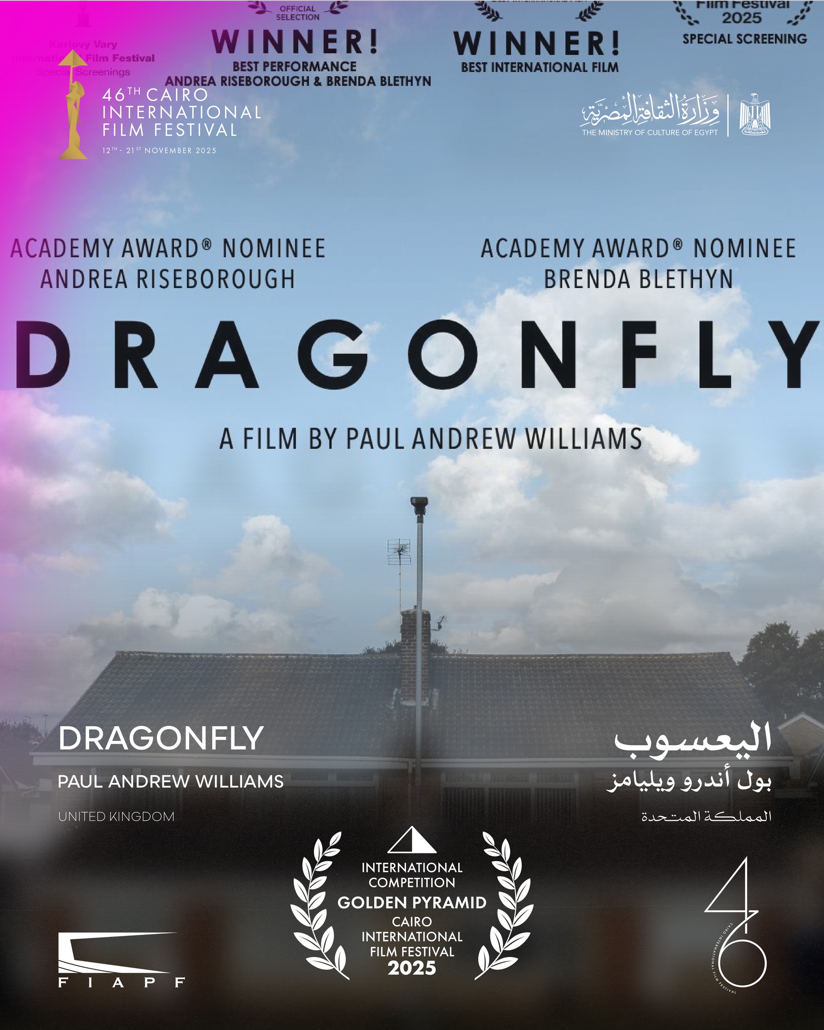Dragon Fly