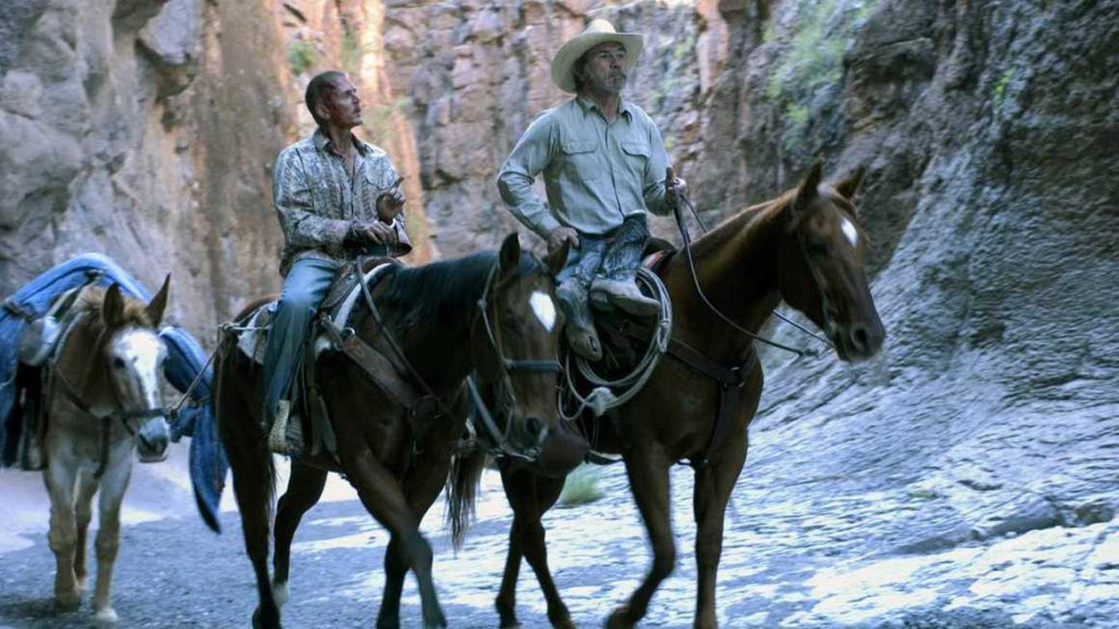 CIFF announces Mexico as the country in focus of its 41st edition to be held between the 20th and the 29th of November 2019