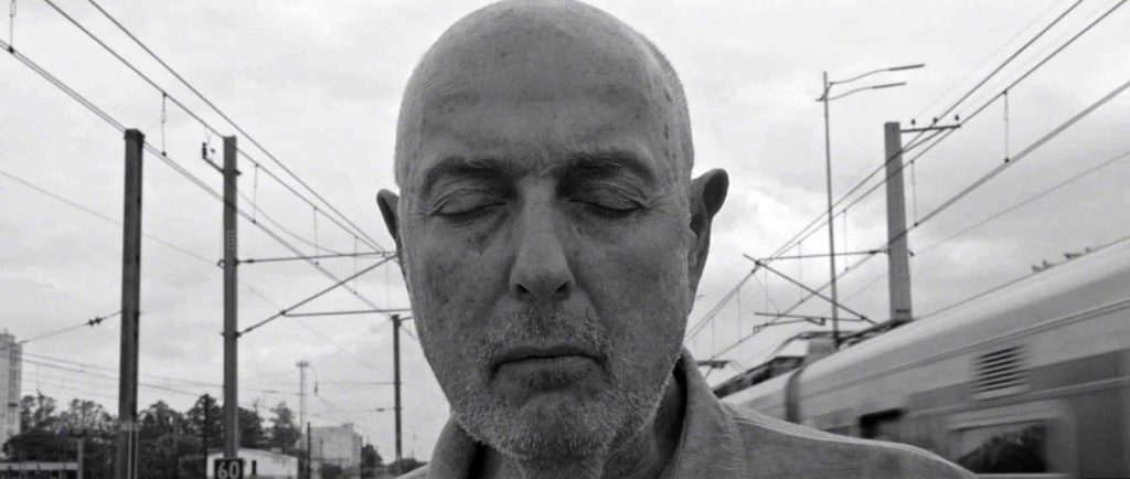 Five world film artists in the Cairo International Film Festival Panorama Special